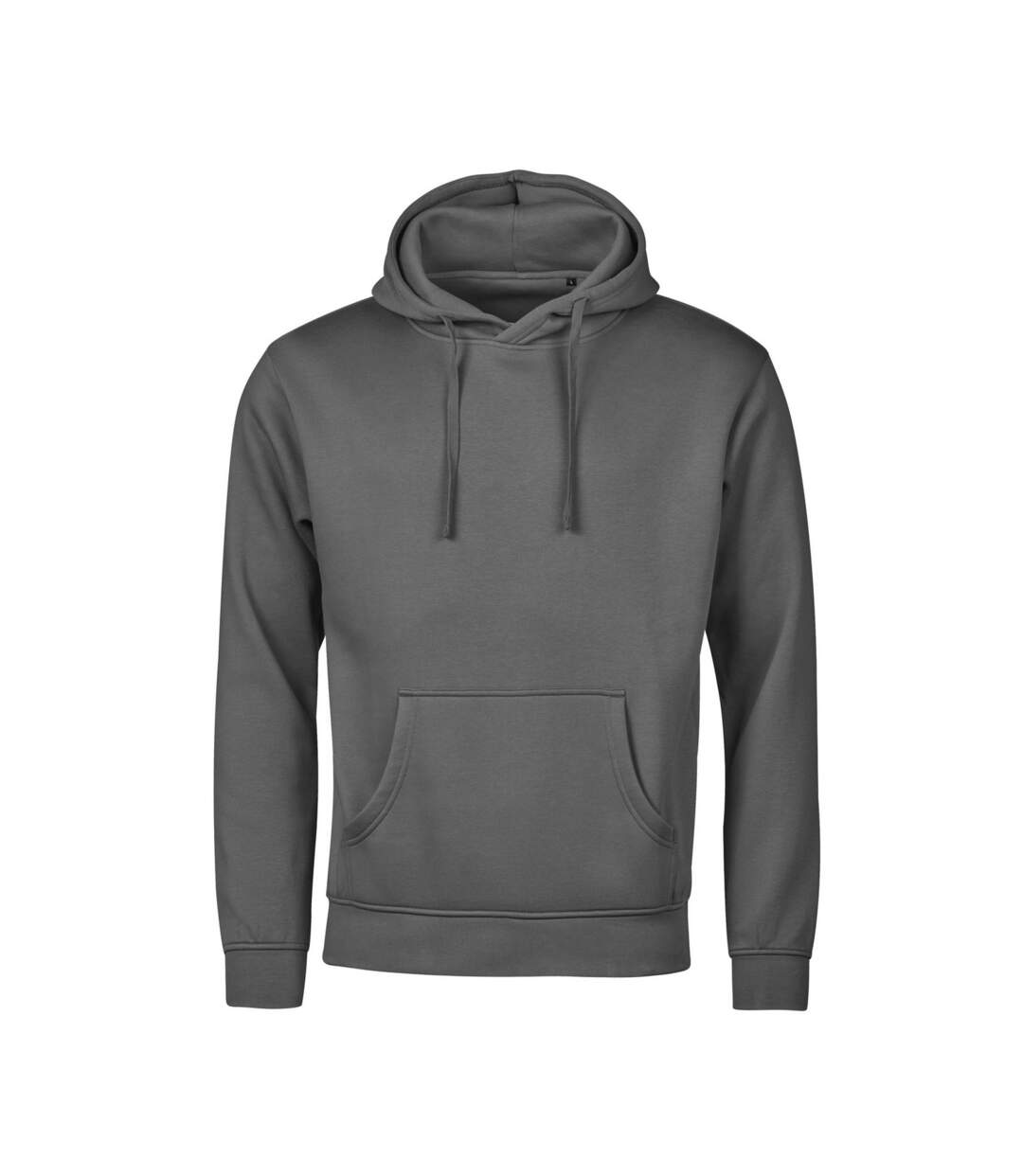 Sweat À Capuche Urban Adulte Gris Pâle Tee Jays-1