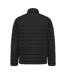 Mens Maiko Recycled Polyester Padded Jacket Black Iqoniq-3