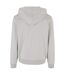 Sweat À Capuche Cozy Homme Gris Pâle Urban Classics-2