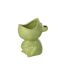 Cache-Pot Déco en Dolomite Grenouille 21cm Vert-1