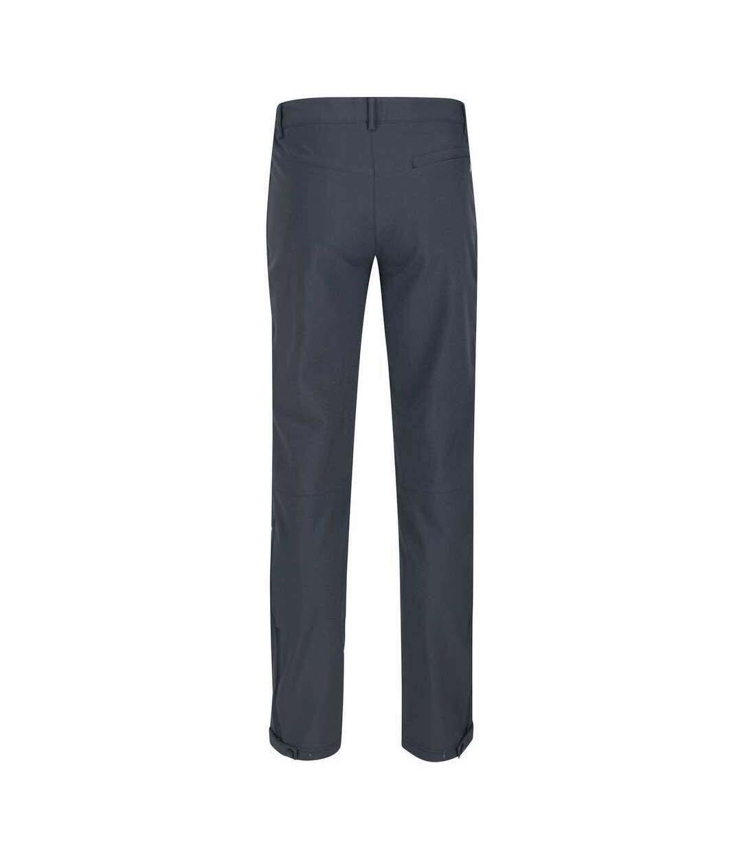 Pantalon de randonnée geo homme gris Regatta