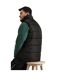 Regatta Mens Standout Altoona Insulated Bodywarmer Jacket (Black) - UTBC3038-1