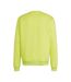Sweat Entrada Homme Vert Adidas-3