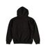 Unisex Adult Classic Logo Hoodie Black Jurassic Park-2