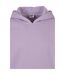 Sweat À Capuche Homme Lilas Urban Classics-4