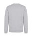 Unisex Adult Formula 1 Fleece Sweatshirt Grey AWD-2