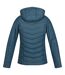 Regatta Womens/Ladies Voltera Loft III Heated Jacket (Reflecting Lake) - UTRG8094