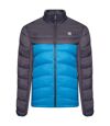 Dare 2B Mens Precipice Insulated Padded Jacket (Ebony Grey/Petrol Blue)
