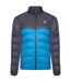 Dare 2B Mens Precipice Insulated Padded Jacket (Ebony Grey/Petrol Blue)