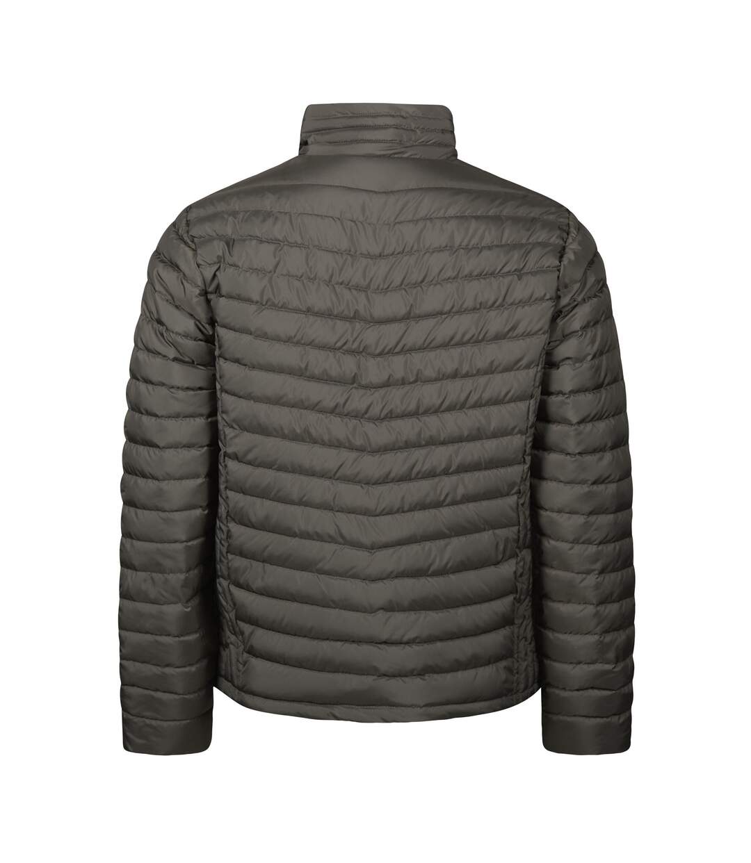 Mens Padded Zepelin Jacket Shadow Tee Jays-2