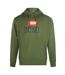 Sweat À Capuche Motif/style Logo Homme Vert Diesel-1