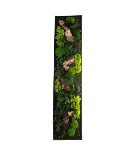 Tableau végétal stabilisé canopé Panoramic 140 x 40 cm