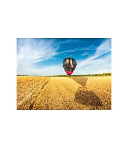 Vol en montgolfière près de Lyon le matin en semaine - SMARTBOX - Coffret Cadeau Sport & Aventure