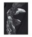 Sweat À Capuche Honor & Glory Two Homme Noir 9N1M SENSE-4