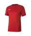 Maillot Teamgoal Homme Rouge Puma-1