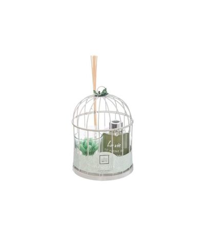 Coffret de Fragrances Cage 20cm Eucalyptus