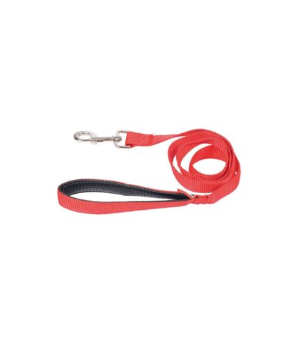 Laisse pour Chien Essentiel 120cm Rouge