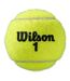 Balles De Tennis Tout Terrain Roland Garos Taille Unique Jaune Wilson-2