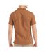 Polo marron homme lacoste  slim fit petit-2