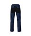 Pantalon Cargo Homme Bleu Marine Projob-2