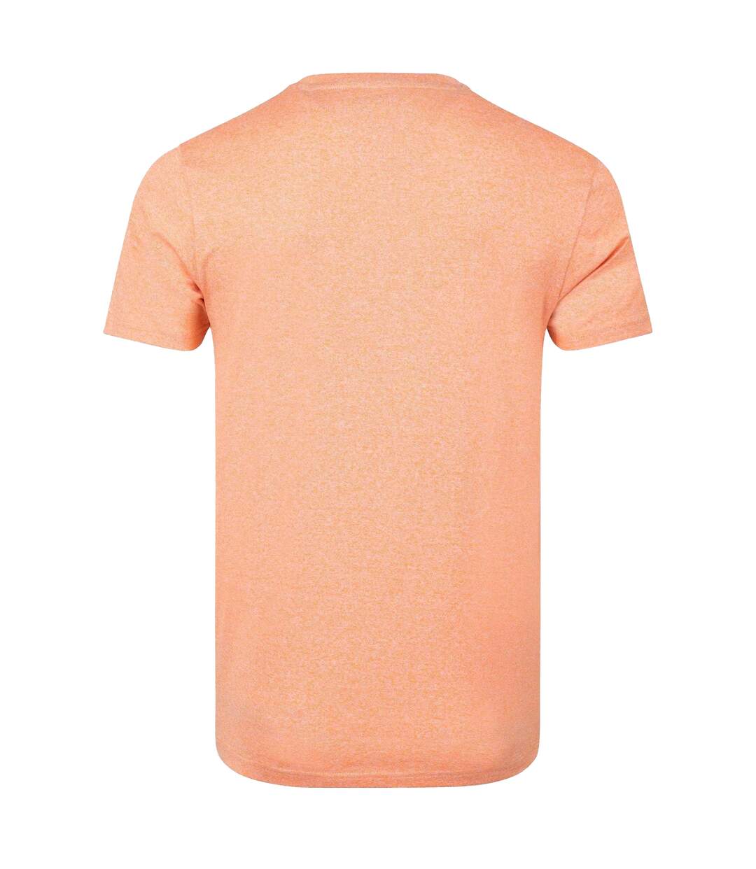 Mens fished branded t-shirt pumpkin Weird Fish-2