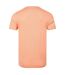 Mens fished branded t-shirt pumpkin Weird Fish-2