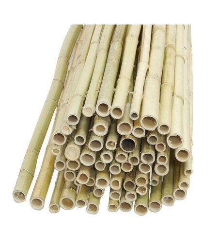 Canisse en bambou (Lot de 5) Lot de 5