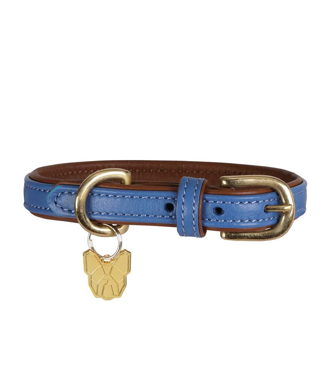 Collier pour chiens xs neckline: 29 cm-34 cm bleu roi Digby & Fox