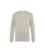 Pull À Col Ras Du Cou King Pour Hommes Gris B&C-1