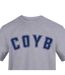 T-shirt Come On You Blues Homme Gris AWD-3