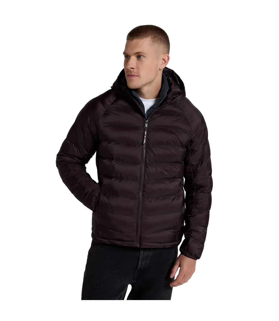 Mens cloud cosi light padded jacket dark red Animal