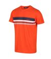 Regatta Mens Cline VI Striped Cotton T-Shirt (Magma Orange) - UTRG7051