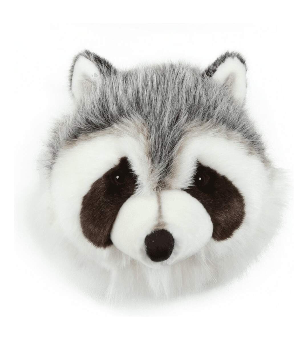 Peluche trophée mural Forêt Raton-laveur Josh-1