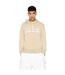 Mens Summer Beats Gradient Logo Hoodie Beige Armani Exchange-4