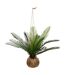 Plante Artificielle Palmier Cuba 55cm Vert-1