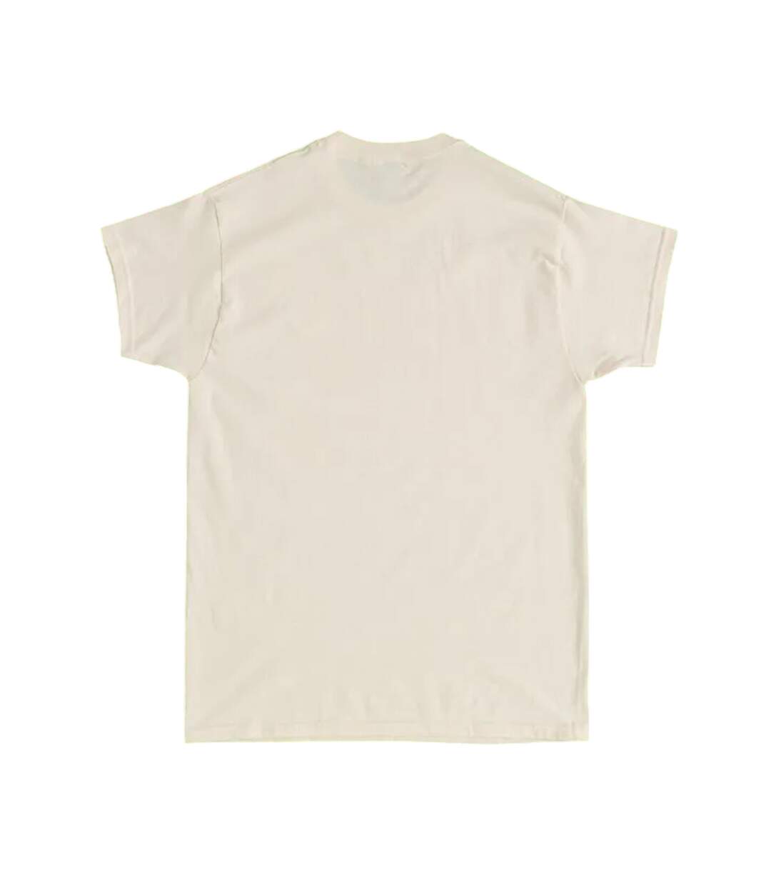 T-shirt The Lands Of Oz Adulte Naturel Wicked-3