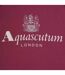 Sweat À Capuche Motif Gros Logo Active Homme Bordeaux Aquascutum-3