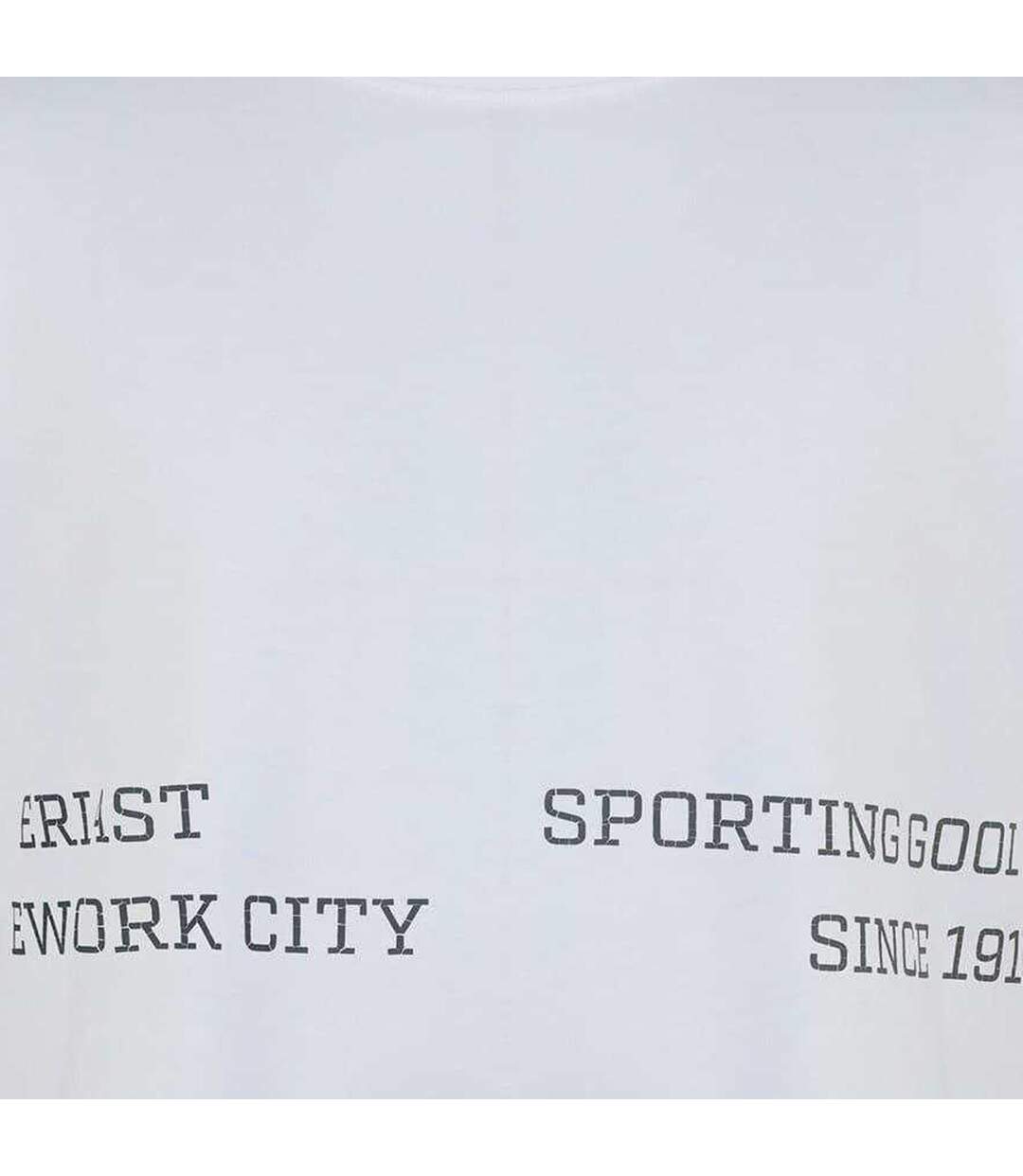 T-shirt Motif/style Logo Nyc Homme Blanc Everlast-3