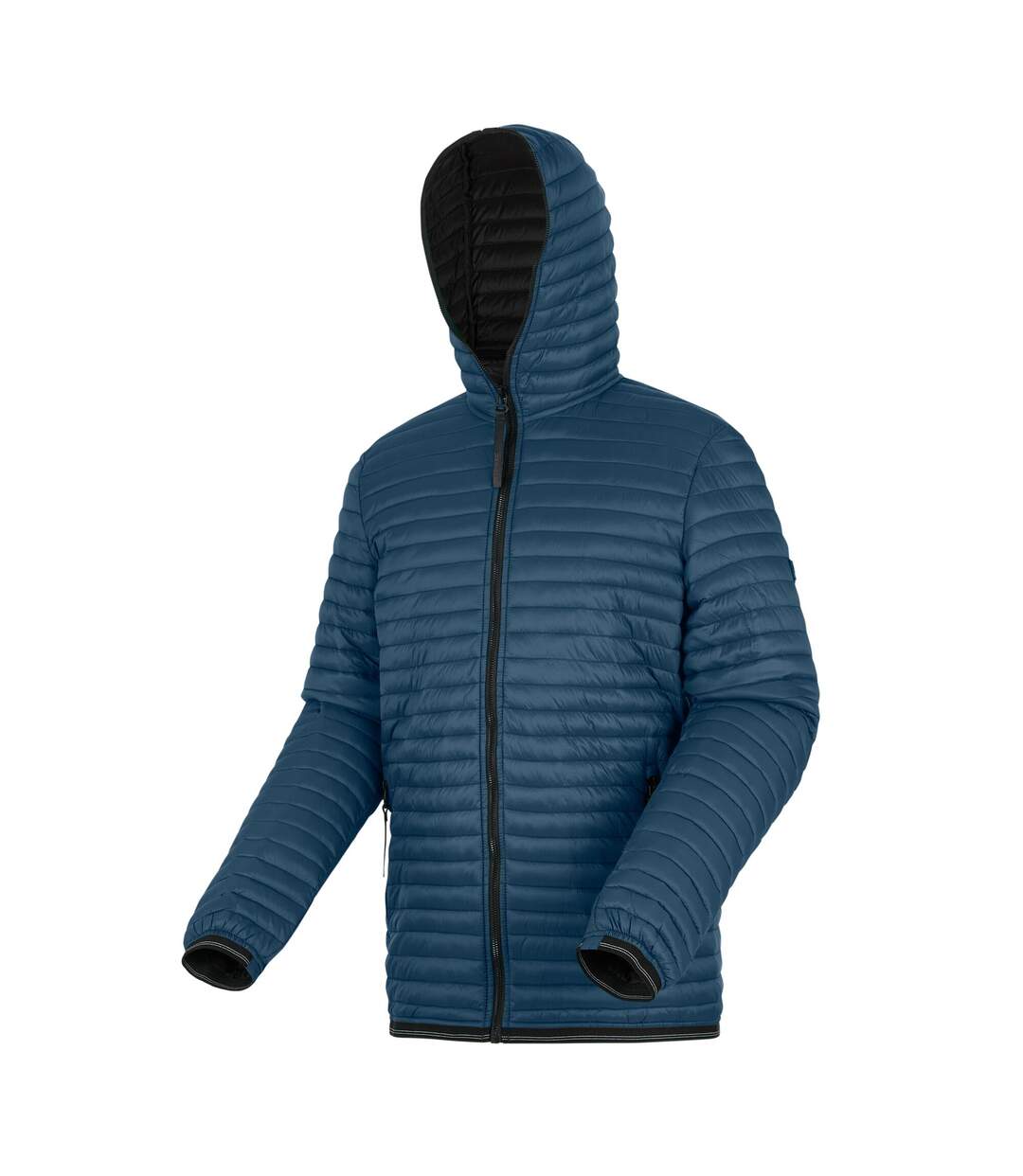 Doudoune Matelassée Rigain Homme Bleu Sarcelle Foncé Noir Regatta-4
