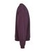 Pull Homme Violet Prune Urban Classics-4