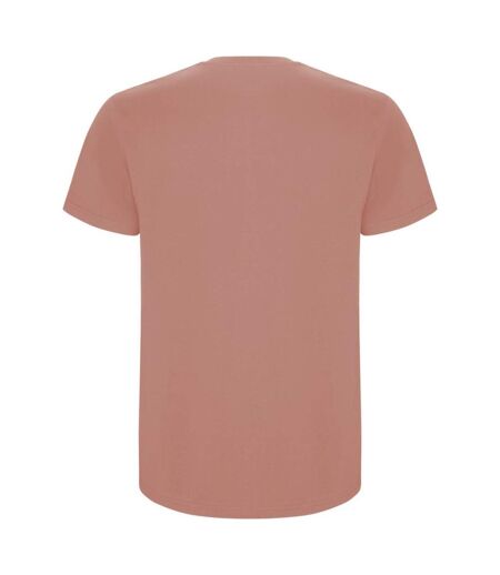 Roly Mens Stafford T-Shirt (Clay Orange) - UTPF4347