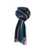 Giovanni Cassini - Écharpe Homme Luxe Rayures-2