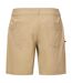 Short Homme Marron Clair Gris Oakley-2