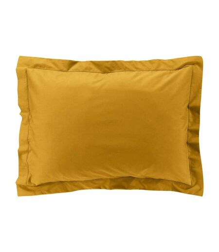 Taie d'Oreiller Percaline 50x70cm Curry