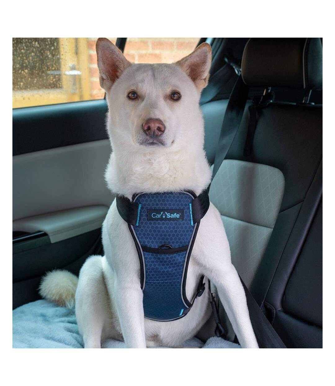 Carsafe crash tested dog harness xs black Company Of Animals-2