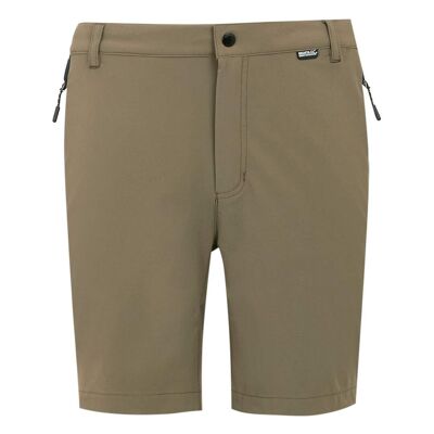 Short mountain homme marron / noir Regatta