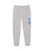Pantalon De Jogging Iconic Homme Gris Lacoste-1