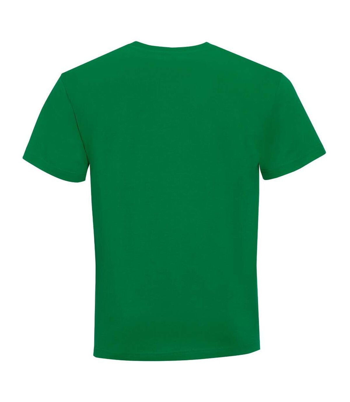 SOLS Mens Victory V Neck Short Sleeve T-Shirt (Kelly Green)