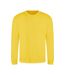 Sweat Adulte Jaune Awdis-1