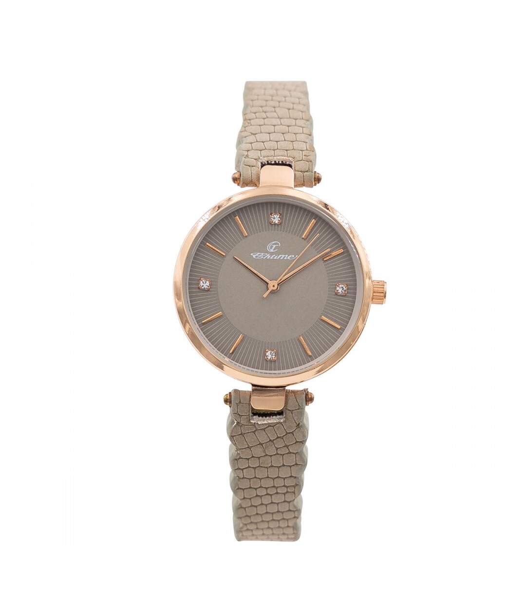 Magnifique Montre pour Femme Gris CHTIME